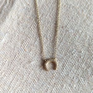 Pave Horn Necklace